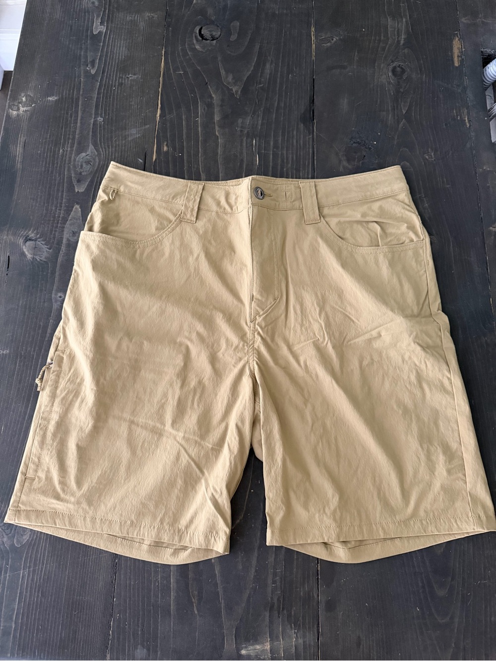 Patagonia Men's Tan Cargo Shorts